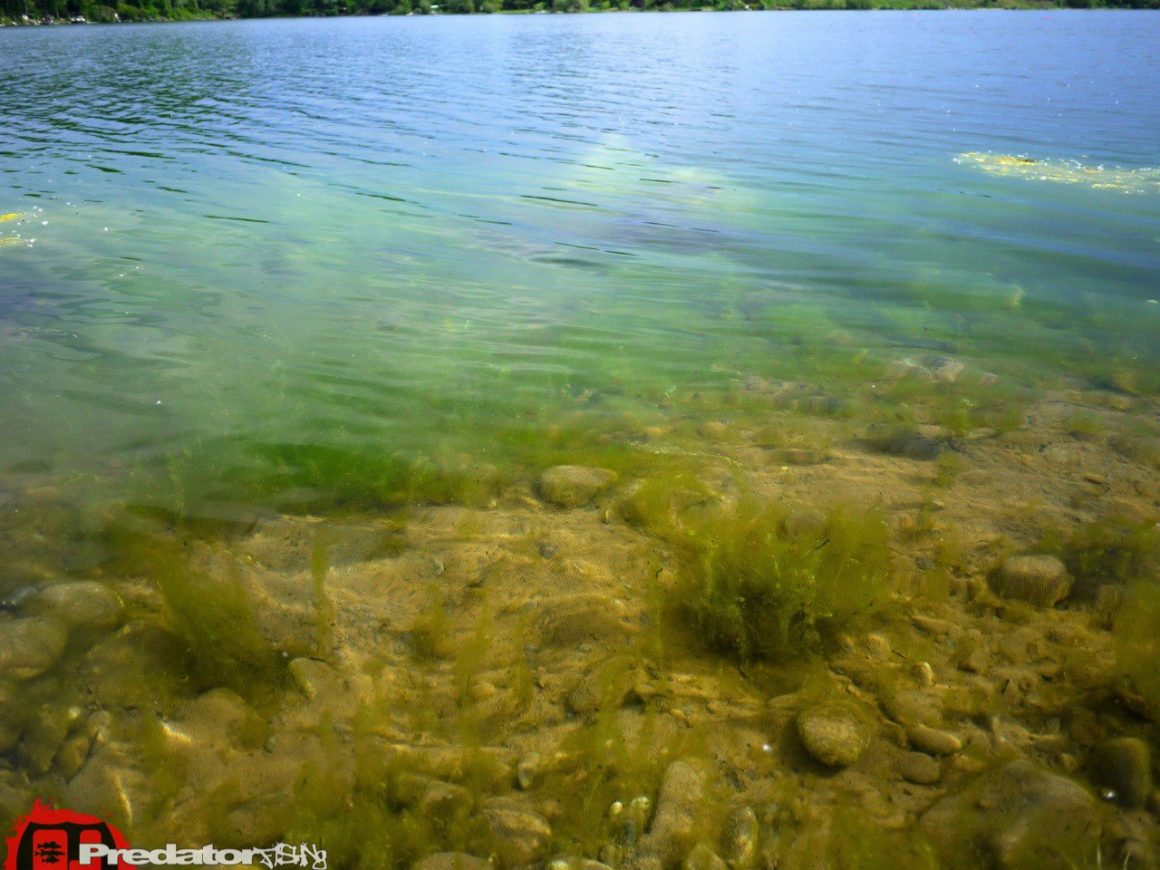 Am 1. Mai weder eine Hecht, noch einen Barsch gefangen-Blank