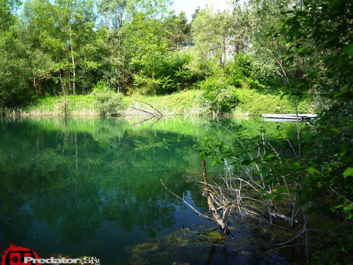 Am 1. Mai weder eine Hecht, noch einen Barsch gefangen-Blank