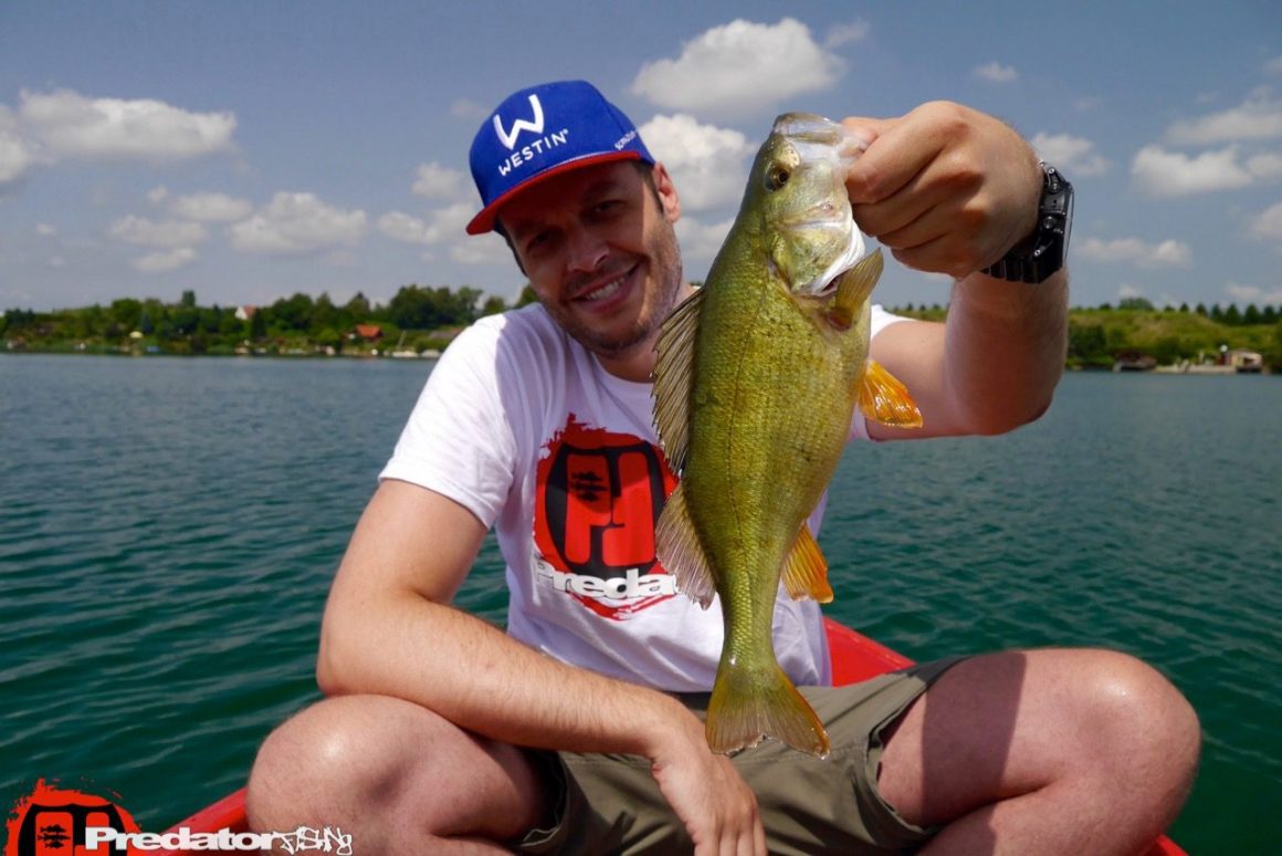 Auch Hecht und Barsch bei großer Hitze mit Westin Hypo Teez und Schad Teez