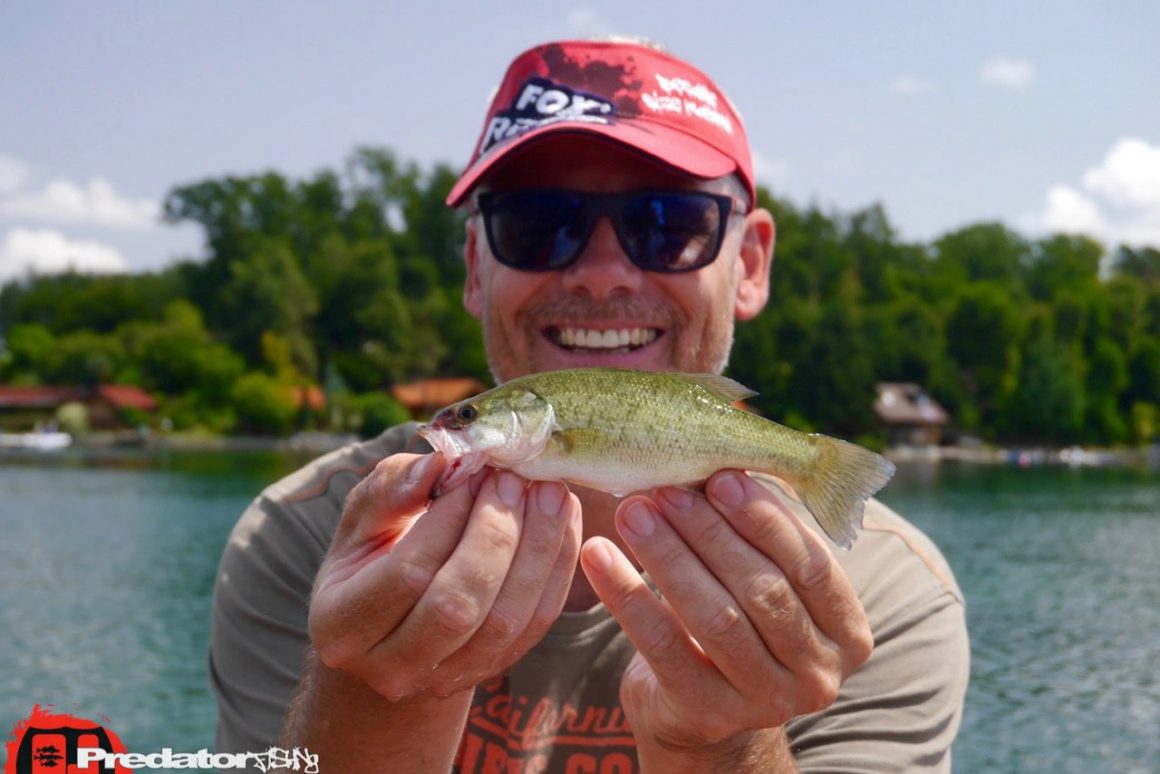 Auch Hecht und Barsch bei großer Hitze mit Westin Hypo Teez und Schad Teez