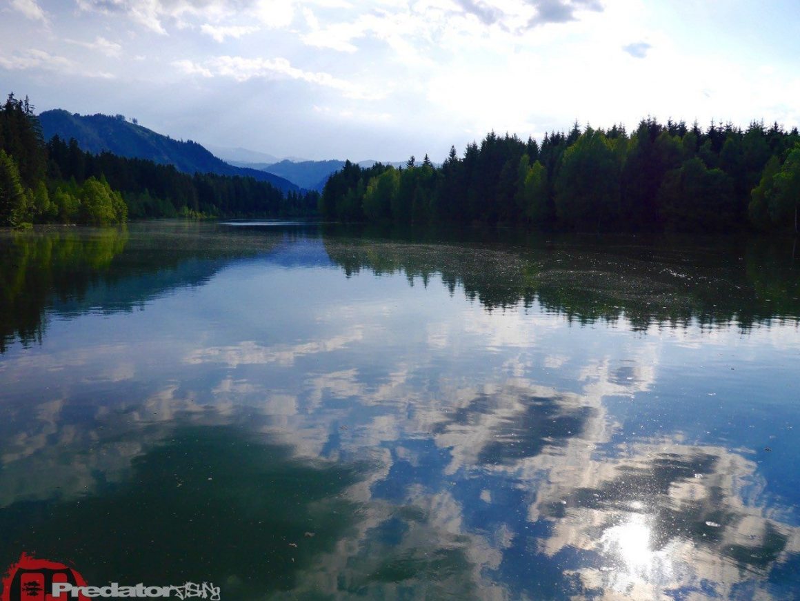 Auf Forelle mit dem FOX Rage Stick Stick an der Mur