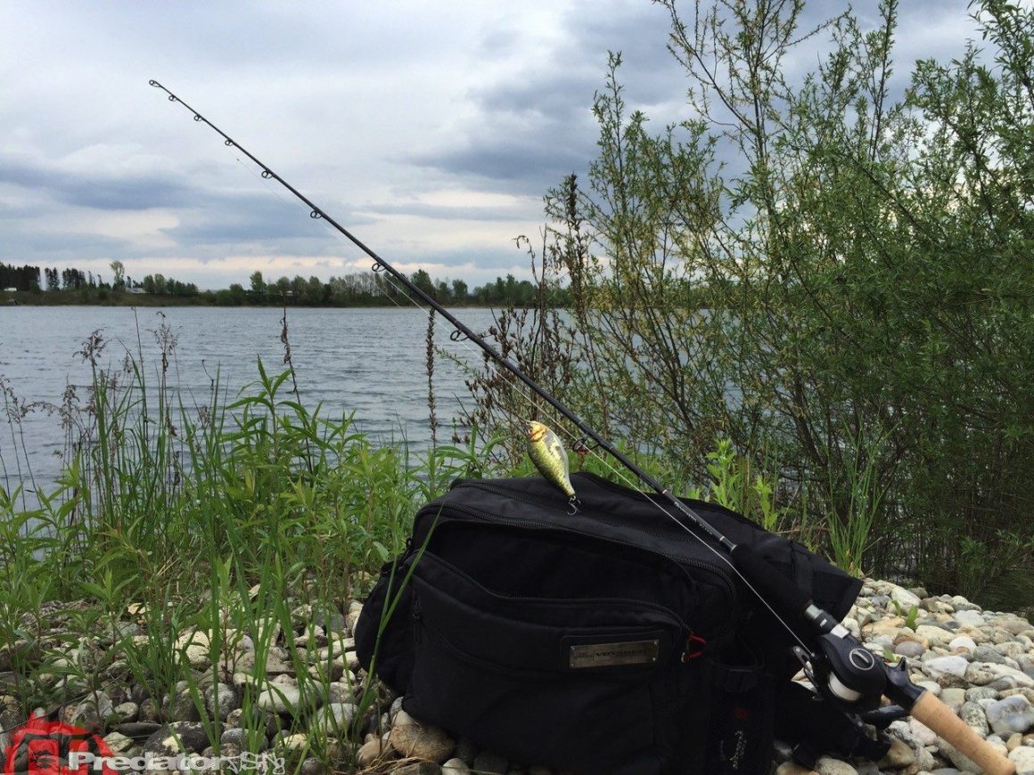 Auf kapitalen Hecht am 1. Mai gefangen mit Ködern von FOX Rage