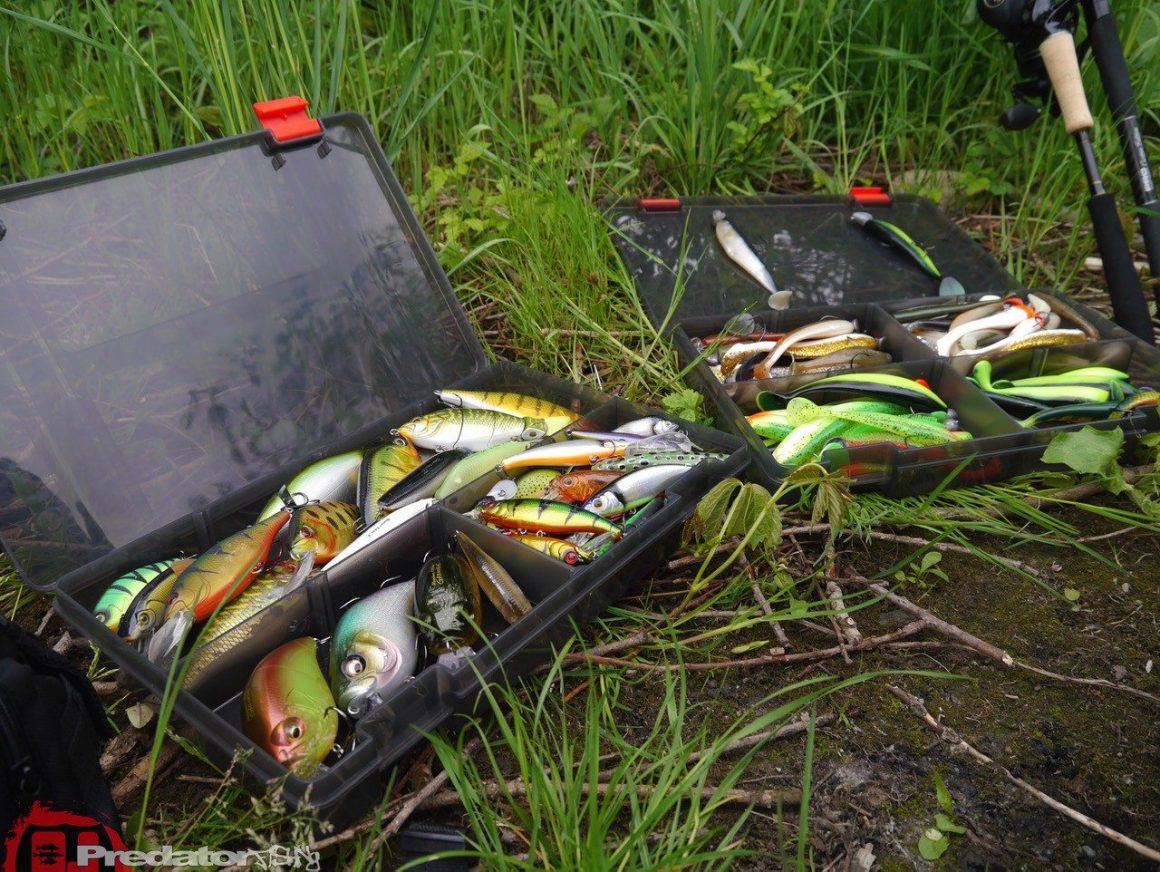 Auf Hecht am 1. Mai und er war Kapital gefangen mit Ködern von FOX Rage