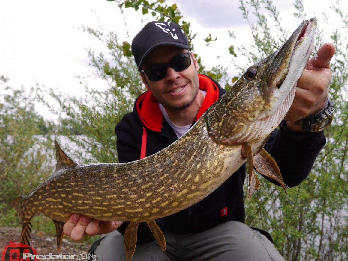 Auf kapitalen Hecht am 1. Mai gefangen mit Ködern von FOX Rage