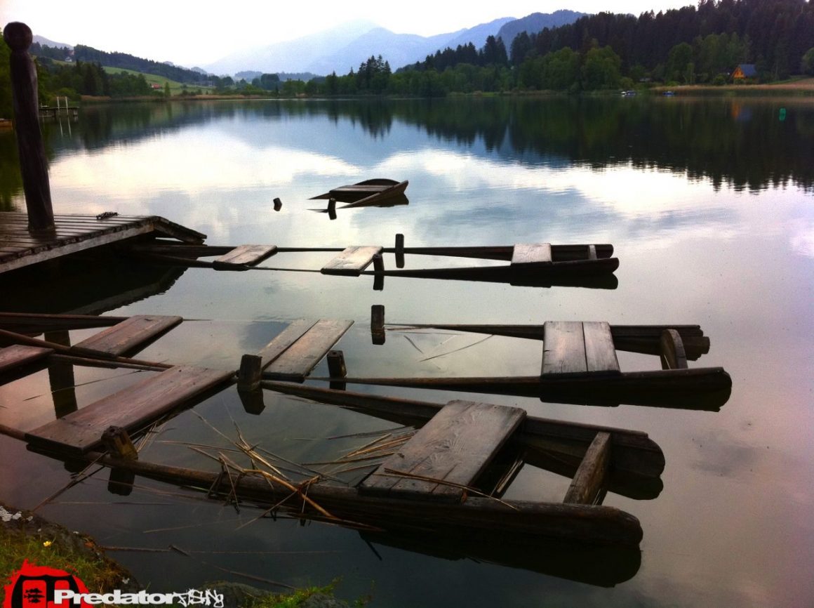 Auf Hecht am Furtnerteich