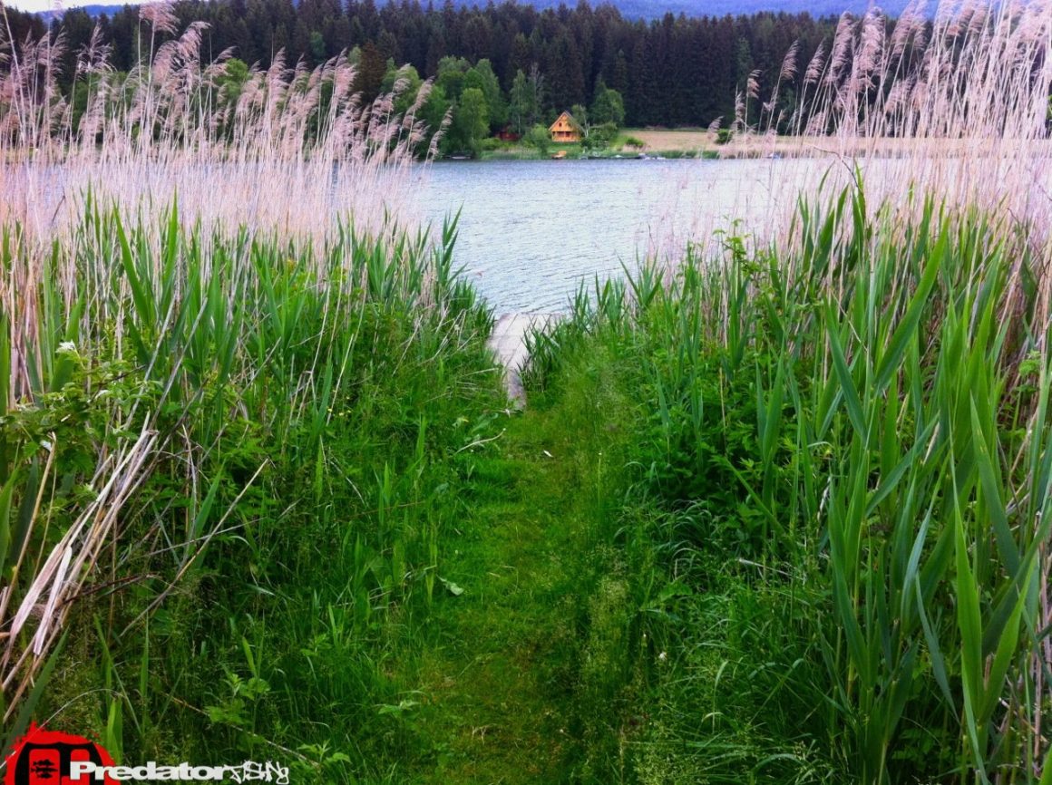 Auf Hecht am Furtnerteich