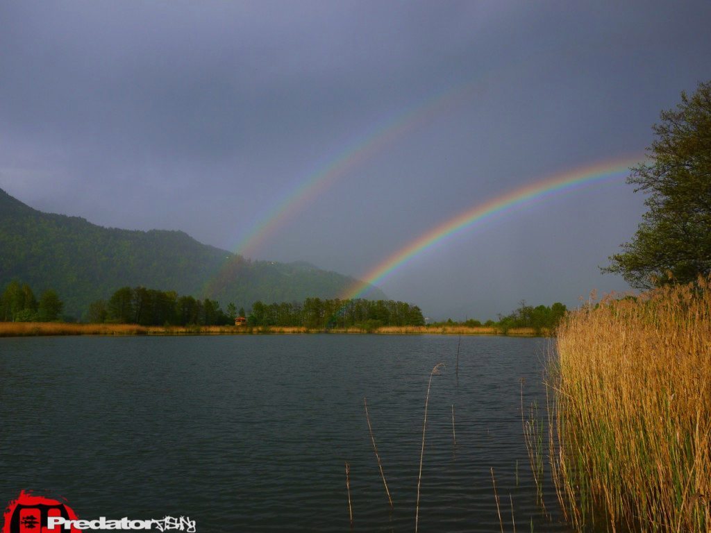 Auf Hecht am Ossiacher See