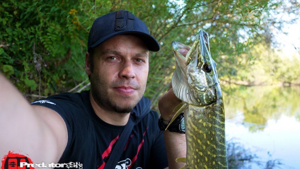 Hecht in trüben Gewässern