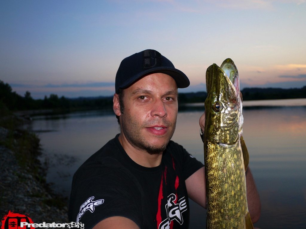 Hecht in trüben Gewässern