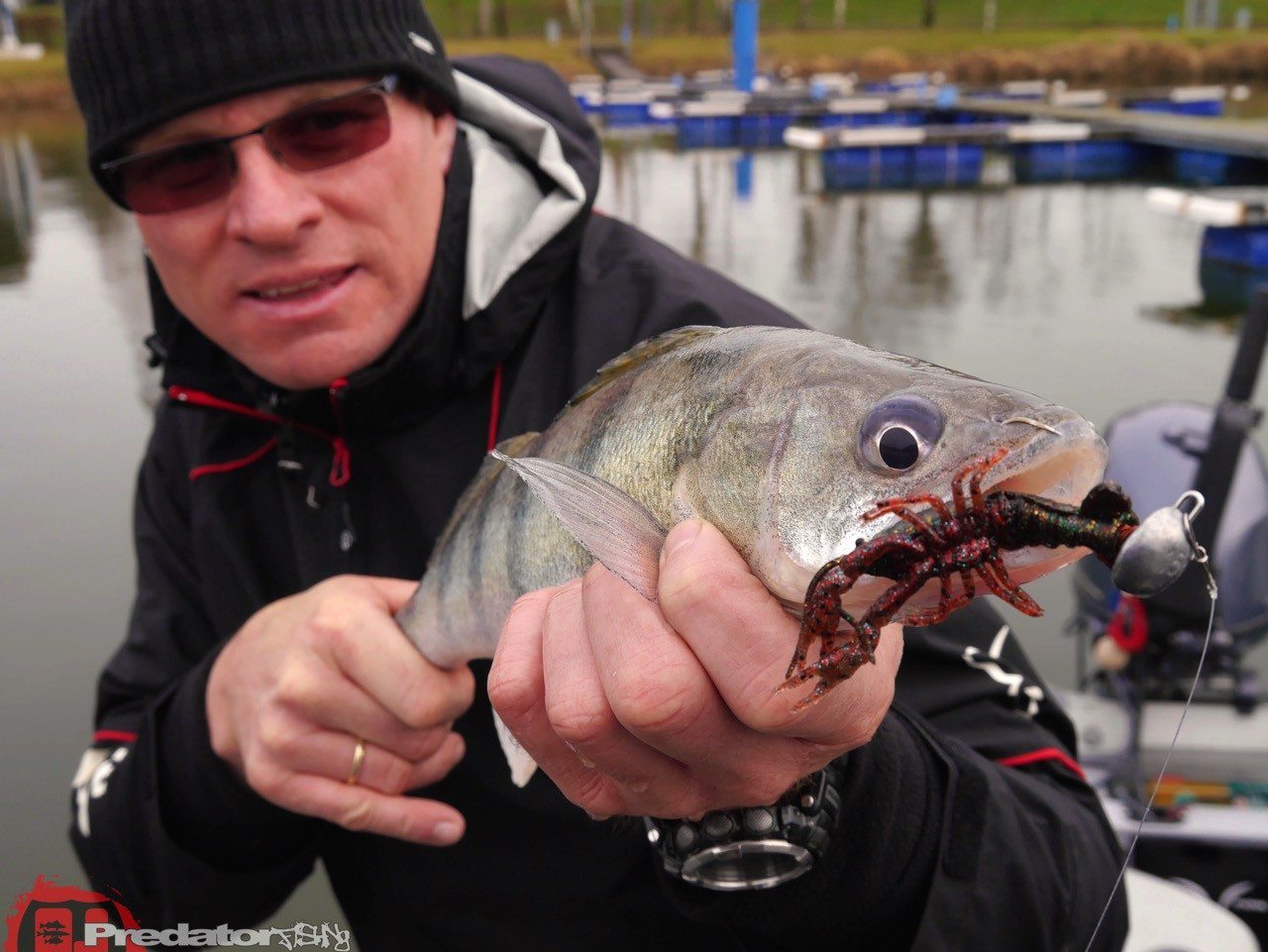 Wieder auf der Donau unterwegs auf Zander und Barsch mit FOX Rage
