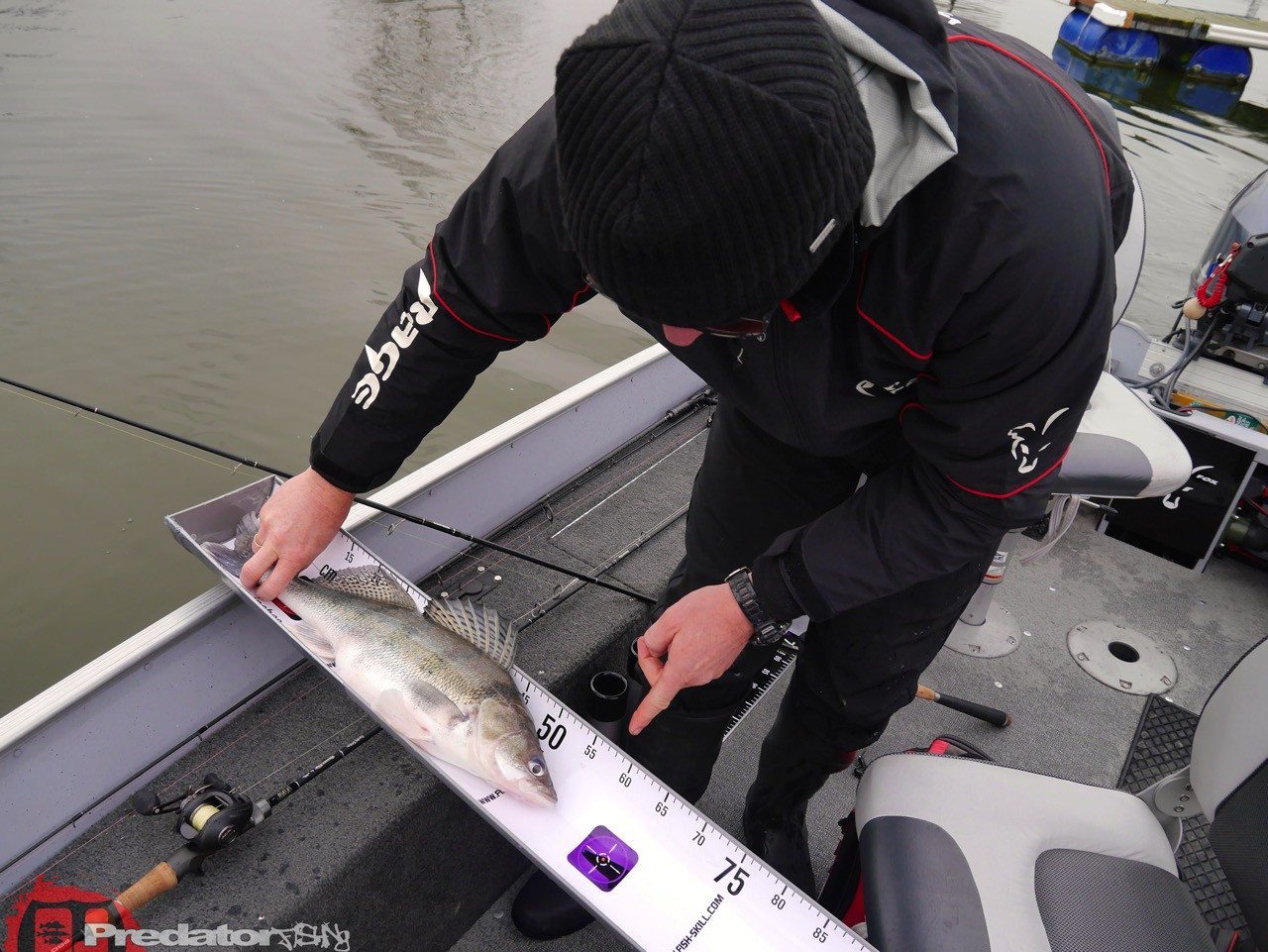 Wieder auf der Donau unterwegs auf Zander und Barsch mit FOX Rage
