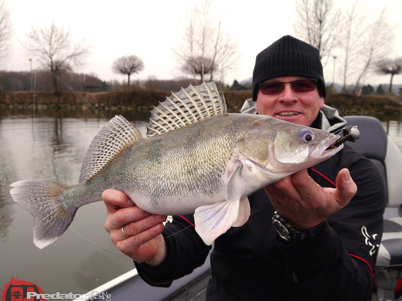 Wieder auf der Donau unterwegs auf Zander und Barsch mit FOX Rage