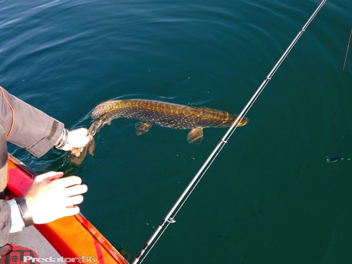 Ausdauer auf Hecht im Winter