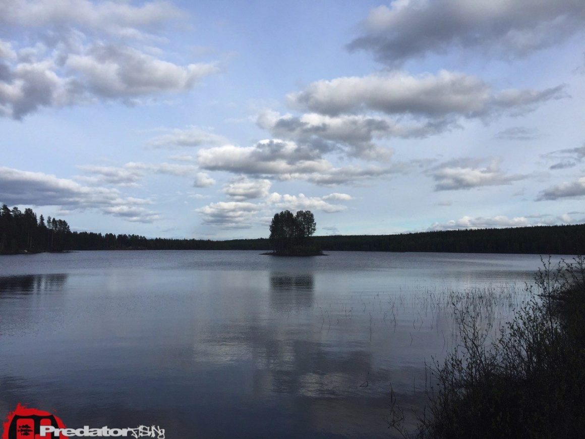 Basti Barramundi auf Hecht in Swedish Lappland