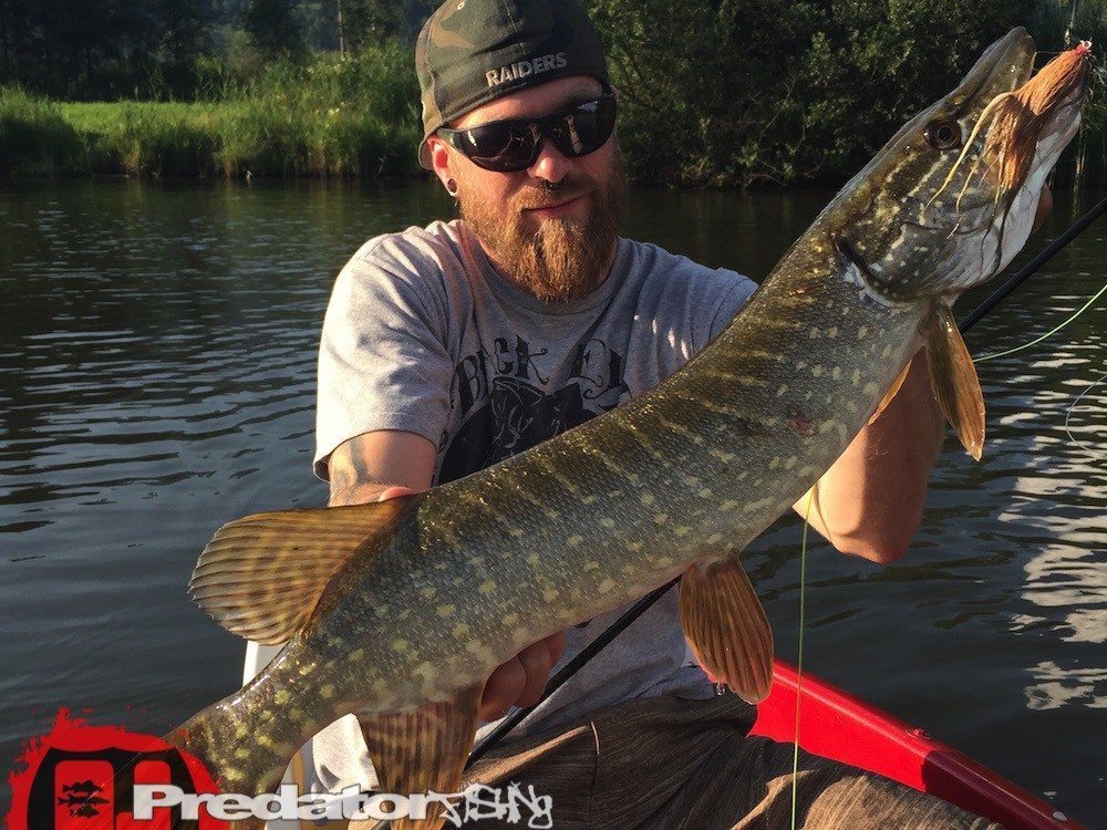 Der richtige Streamer auf Hecht Fly-Fishing