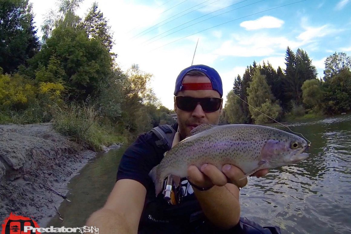 Die Forelle in der Mur läuft wieder mit der Nymphe und Fliegenrute