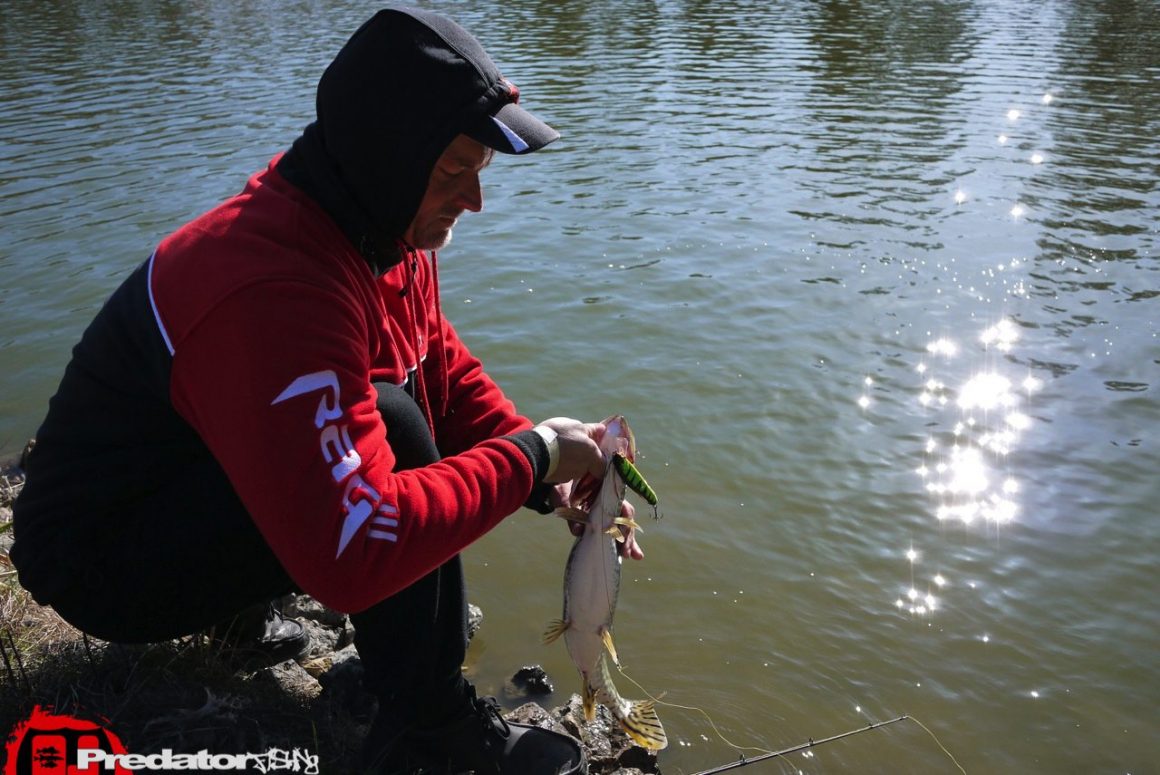 Mit Dietmar Isaiasch am Predator Lake auf Hecht