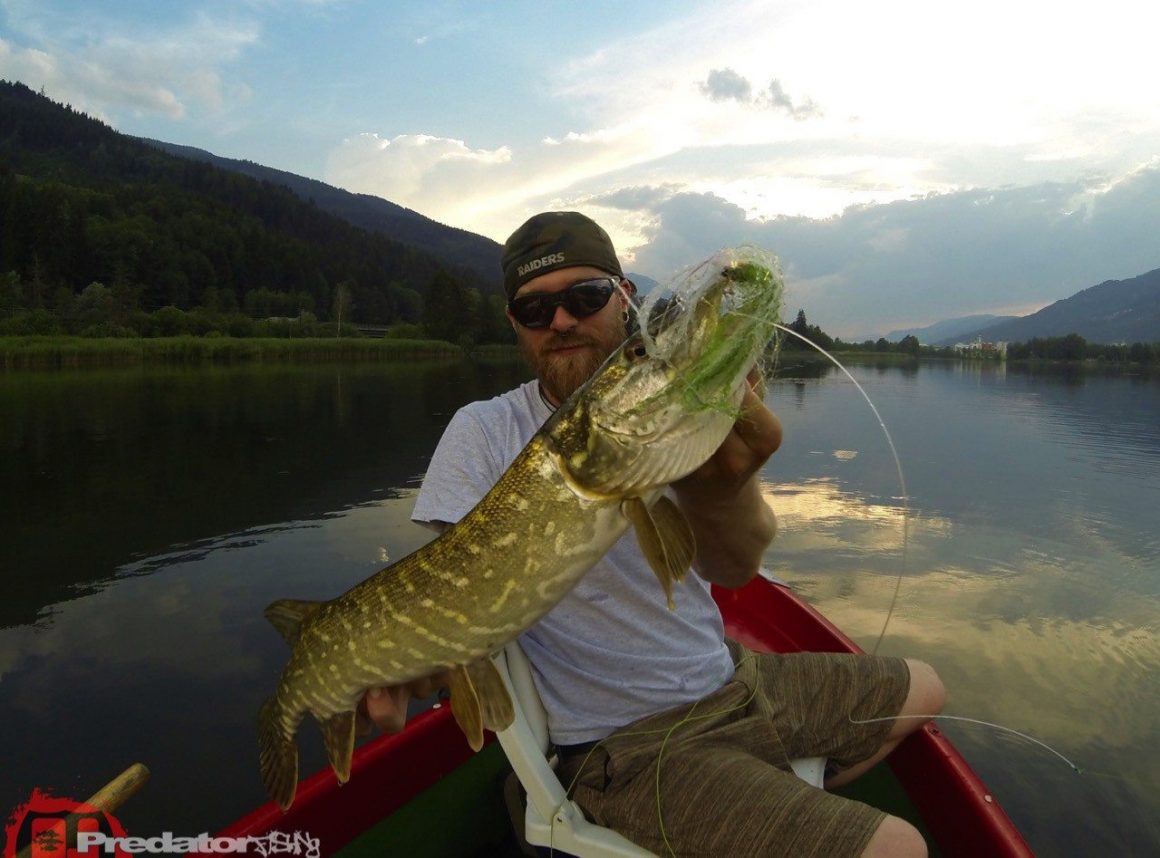 Erster Ausflug mit dem Streamer auf Raubfisch Fly Only auf Hecht