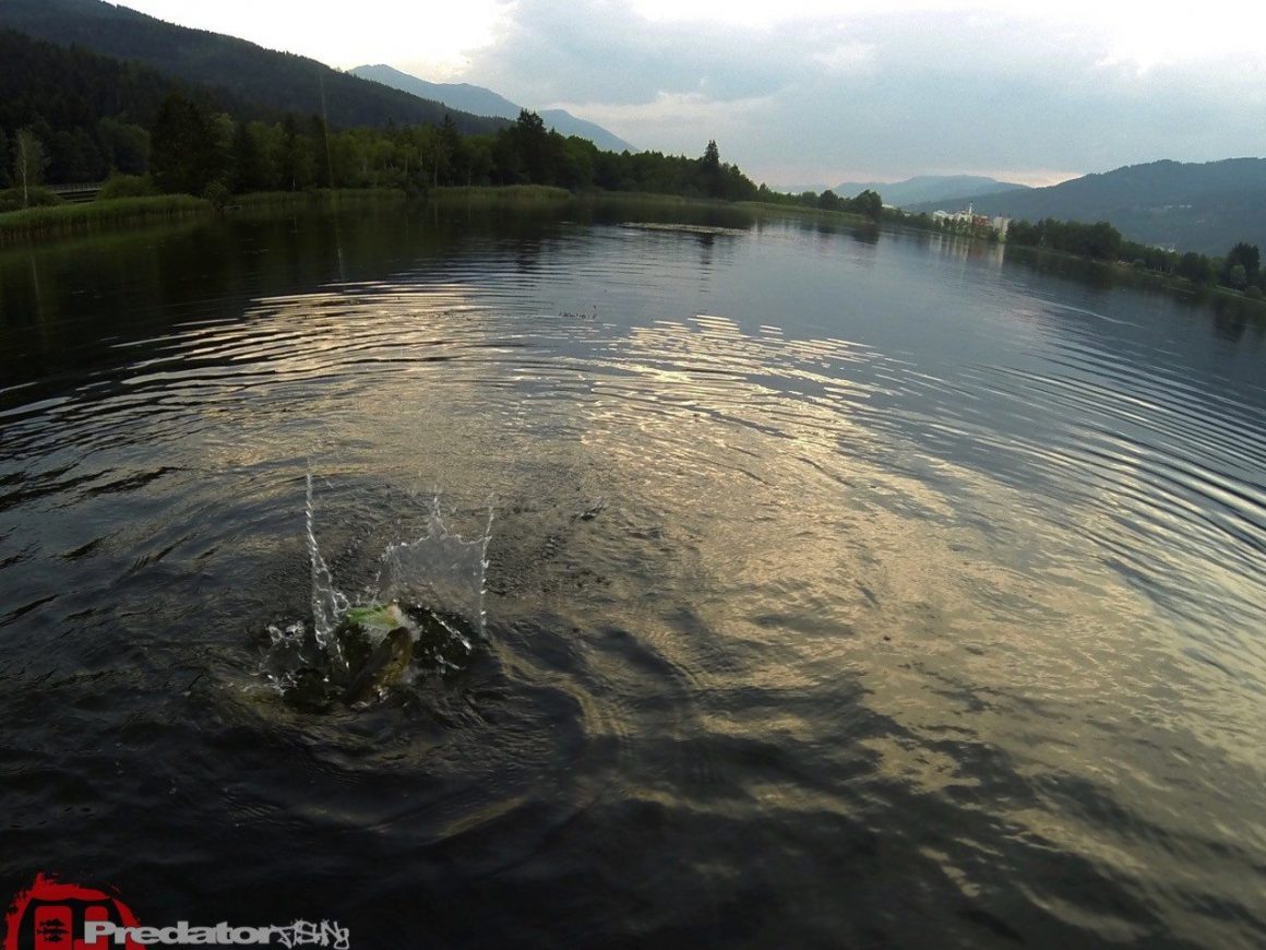 Erster Ausflug mit dem Streamer auf Raubfisch Fly Only auf Hecht