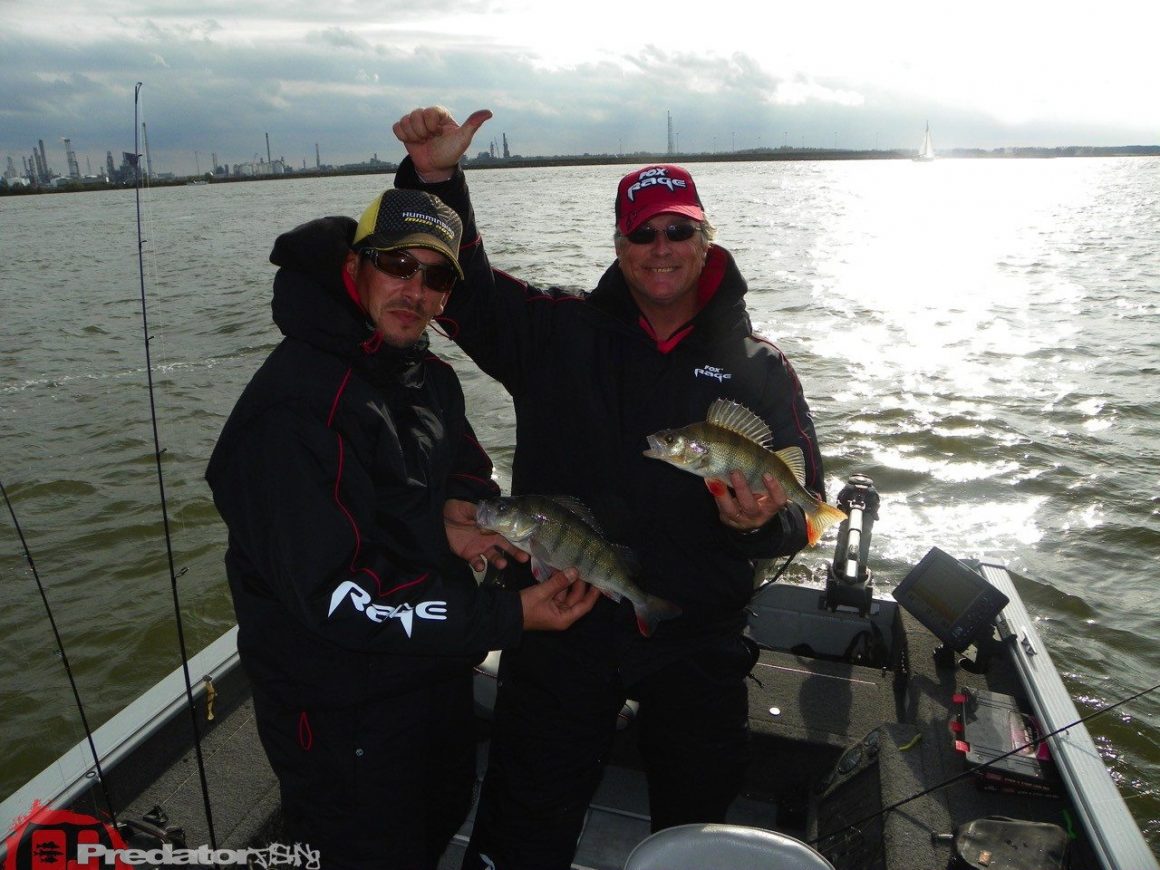 FOX Rage Team-Meeting 2014 Hecht Zander Barsch mit Dietmar Isaiasch