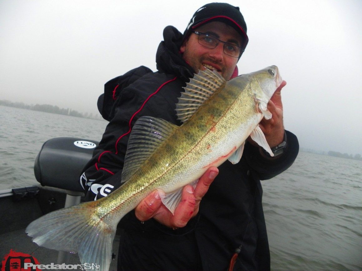 FOX Rage Team-Meeting 2014 Hecht Zander Barsch mit Dietmar Isaiasch