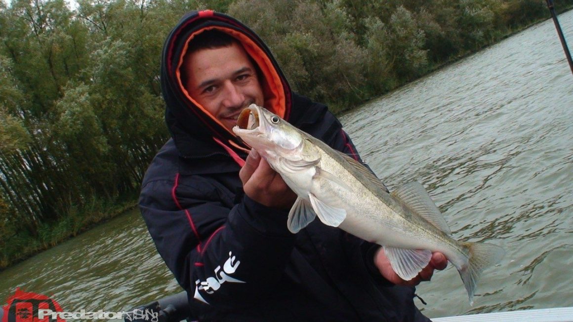 FOX Rage Team-Meeting 2014 Hecht Zander Barsch mit Dietmar Isaiasch