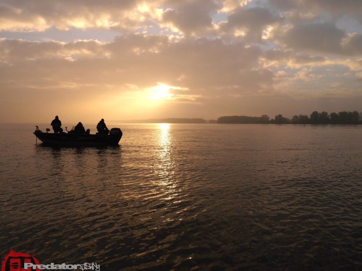 FOX Rage Team-Meeting 2014 Hecht Zander Barsch mit Dietmar Isaiasch
