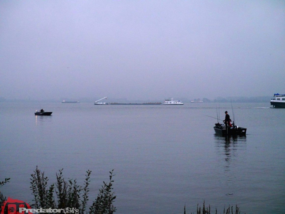 FOX Rage Team-Meeting 2014 Hecht Zander Barsch mit Dietmar Isaiasch