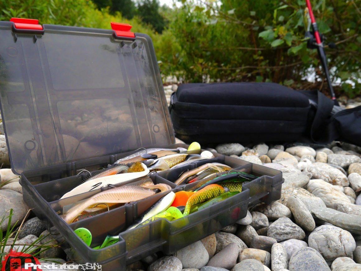 FOX Rage Zander PRO - Eine irre Fangmaschine