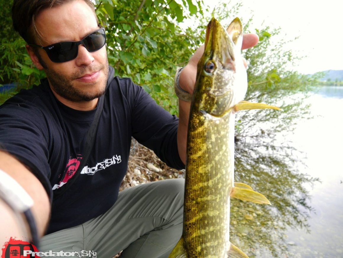 FOX Rage Zander PRO - Eine irre Fangmaschine