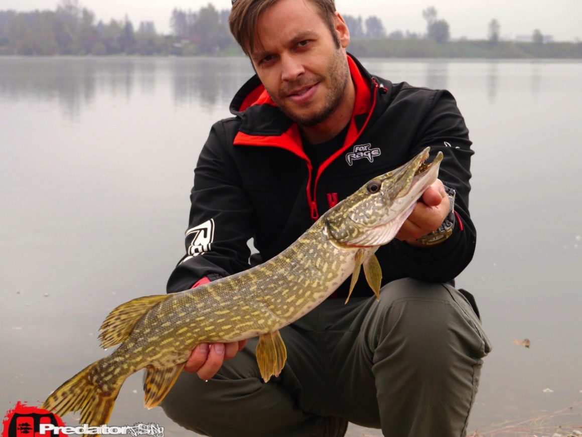 FOX Rage Zander PRO - Eine irre Fangmaschine