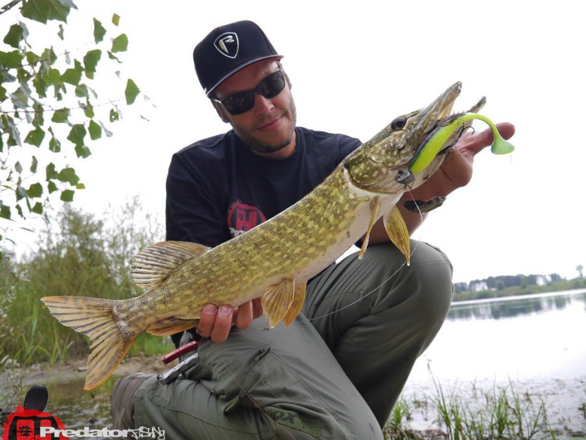 FOX Rage Zander PRO - Eine irre Fangmaschine