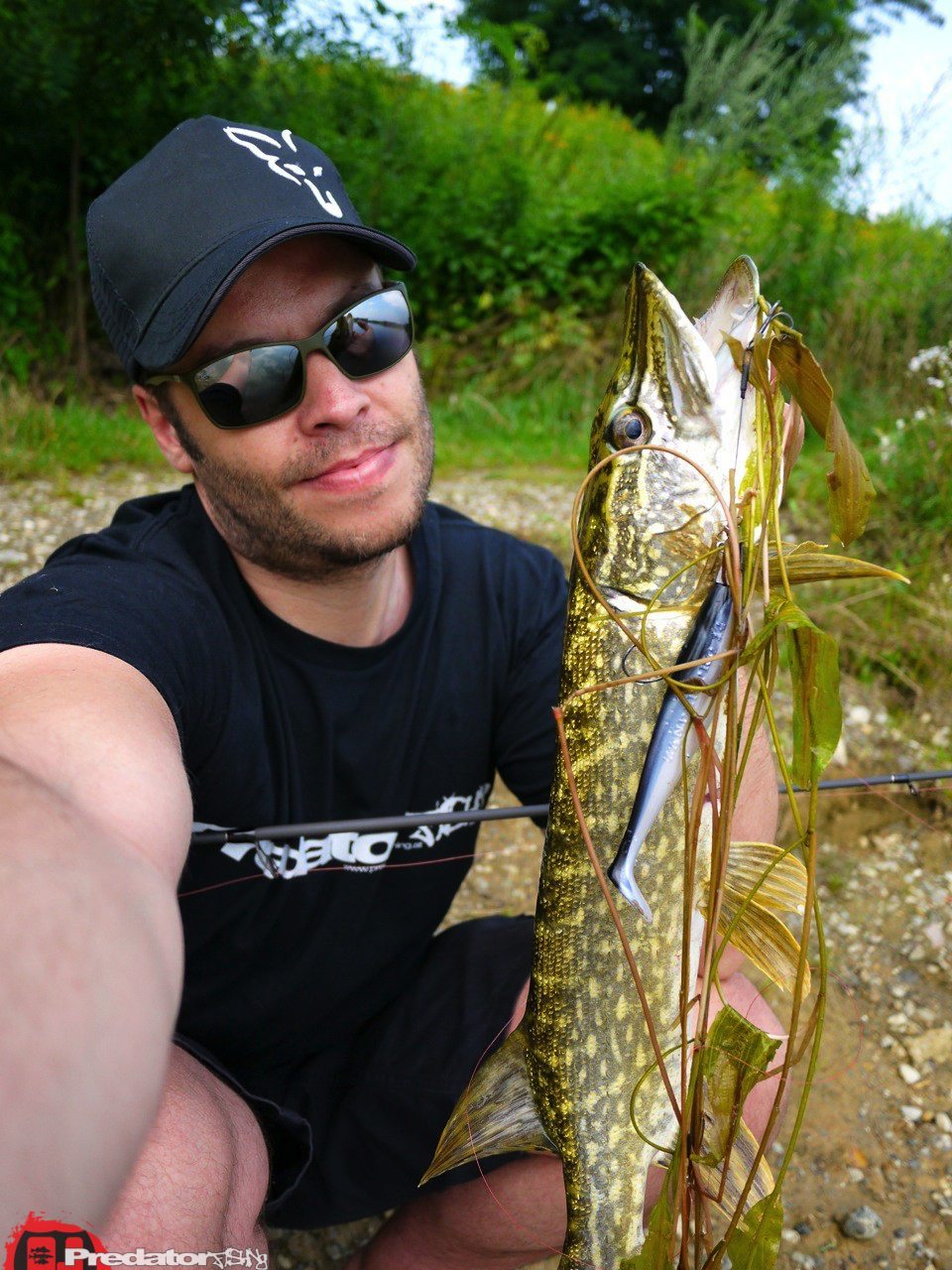 FOX Rage Zander Pro, der Hecht-Magnet