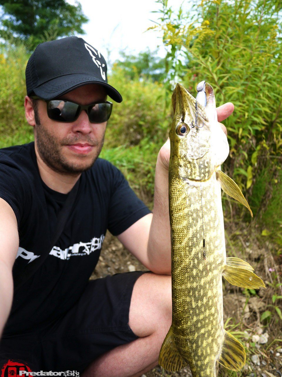 FOX Rage Zander Pro, der Hecht-Magnet