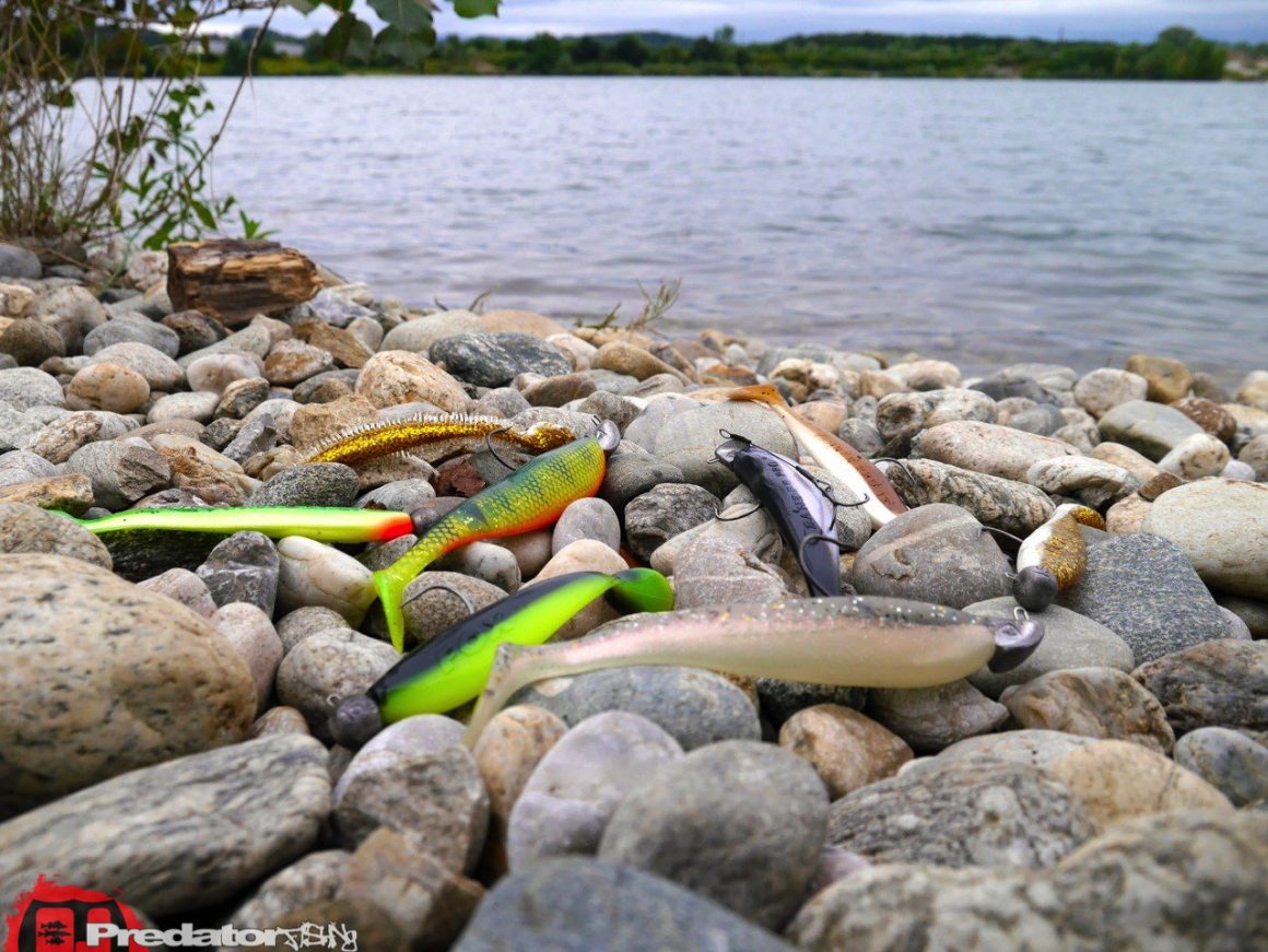 FOX Rage Zander Pro, der Hecht-Magnet