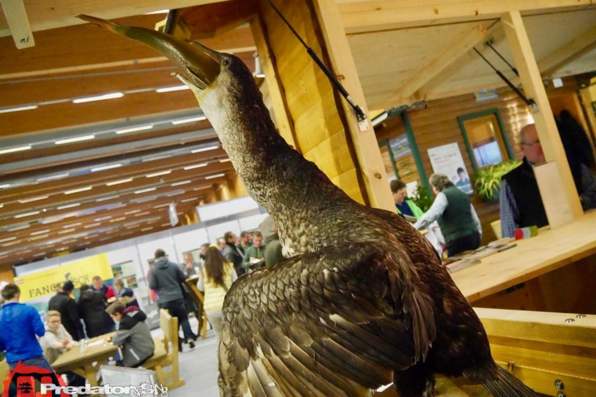 Fishing Festival 2017 die Messe für Raubfischangler