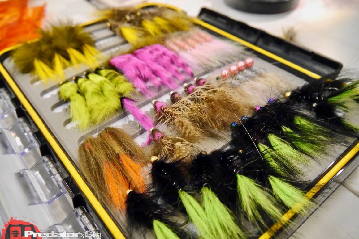 Fishing Festival 2017 die Messe für Raubfischangler