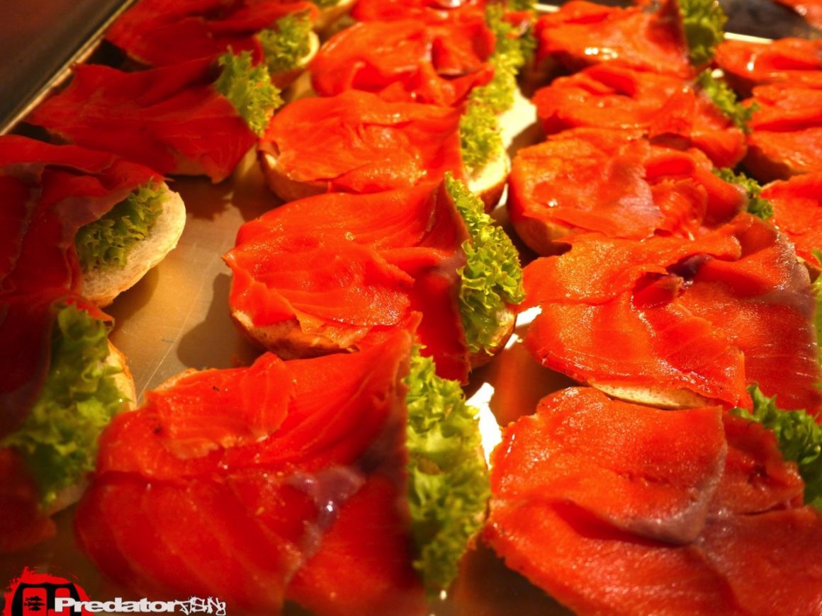 Fishing Festival Wels Faszination Angeln und Fliegenfischen