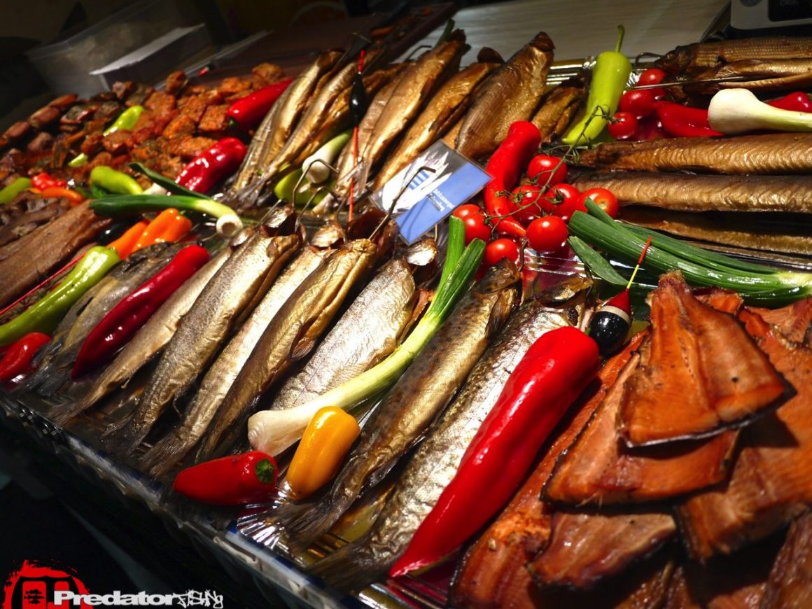 Fishing Festival Wels Faszination Angeln und Fliegenfischen