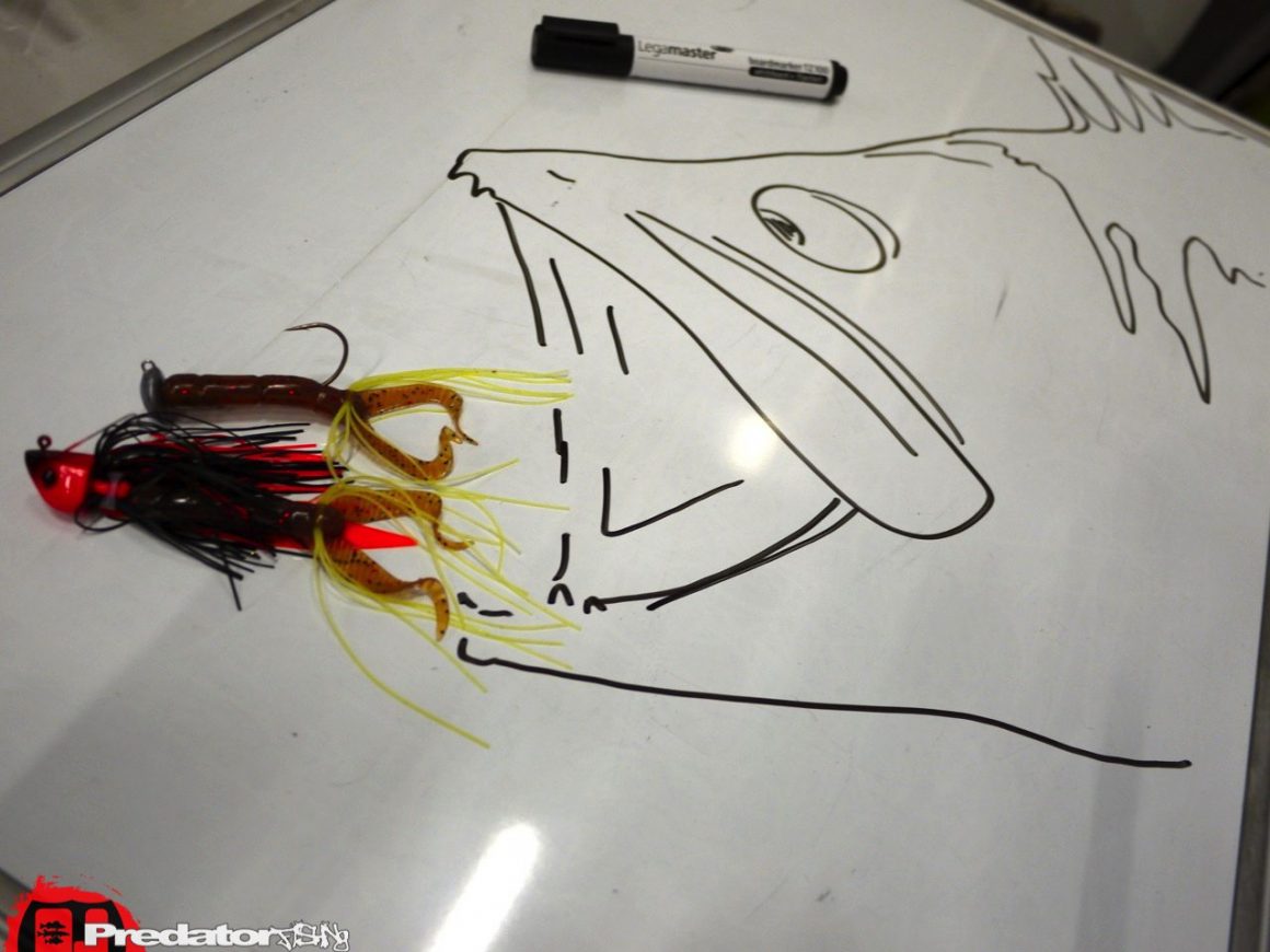 Fishing Festival Wels Faszination Angeln und Fliegenfischen