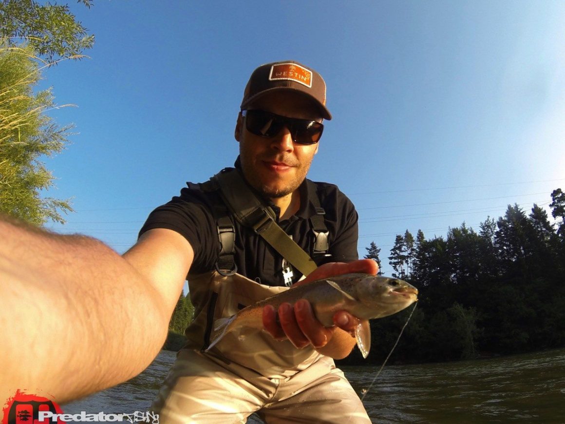 Fliegenfischen bei Hitze auf Forelle an der Mur Orvis