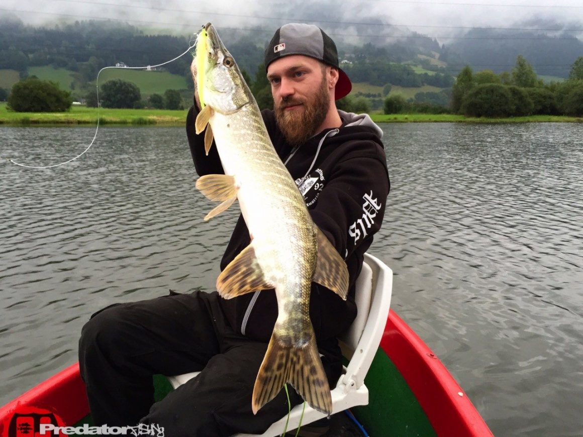 Fliegenfischen mit Streamer auf Hecht und Flussbarsch mit Orvis und Loop