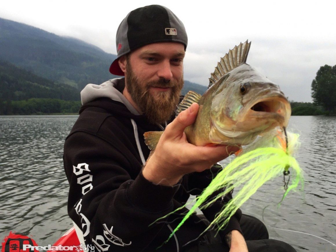 Fliegenfischen mit Streamer auf Hecht und Flussbarsch mit Orvis und Loop