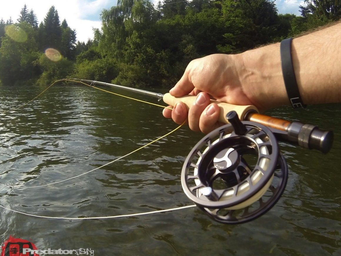 Fly-Only-Session-Mit der Nymphe auf Forelle in der Mur