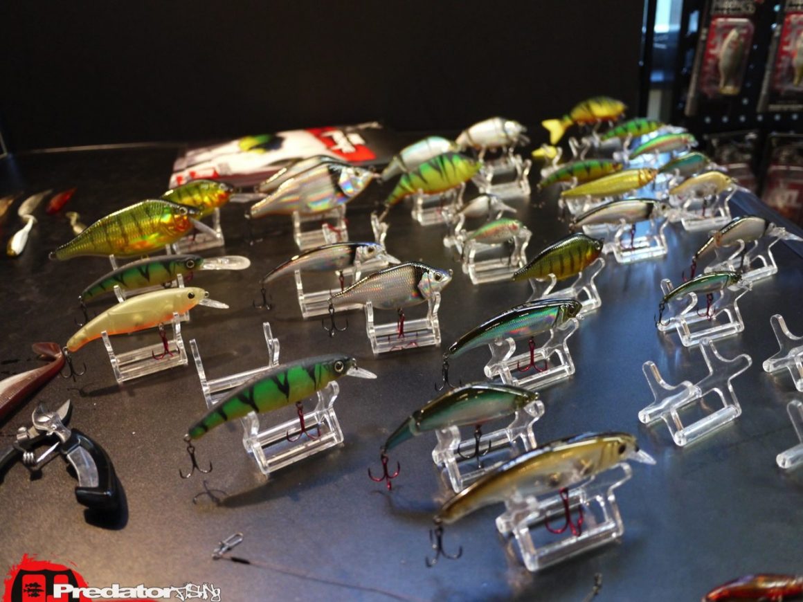 Dietmar Isaiasch mit FOX Rage in Österreich