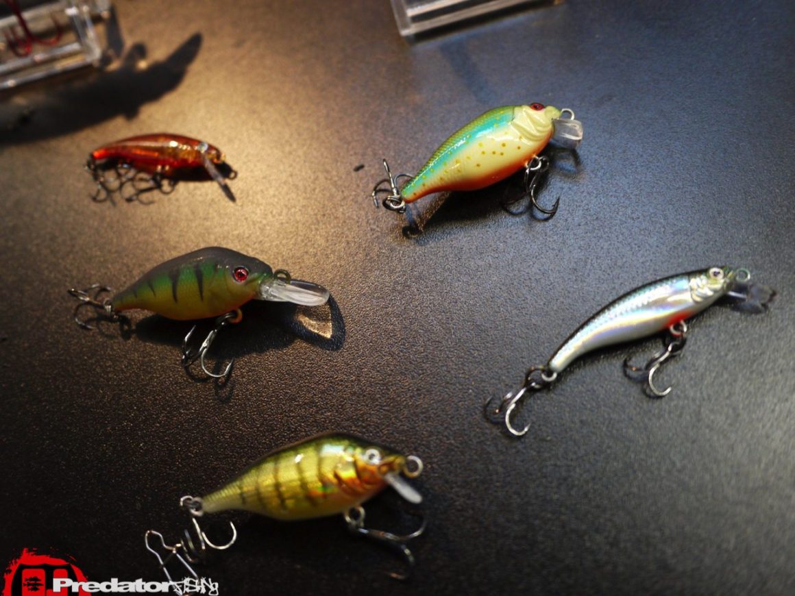 Dietmar Isaiasch mit FOX Rage in Österreich