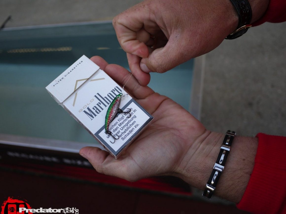 Dietmar Isaiasch mit FOX Rage in Österreich