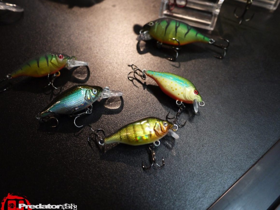 Dietmar Isaiasch mit FOX Rage in Österreich