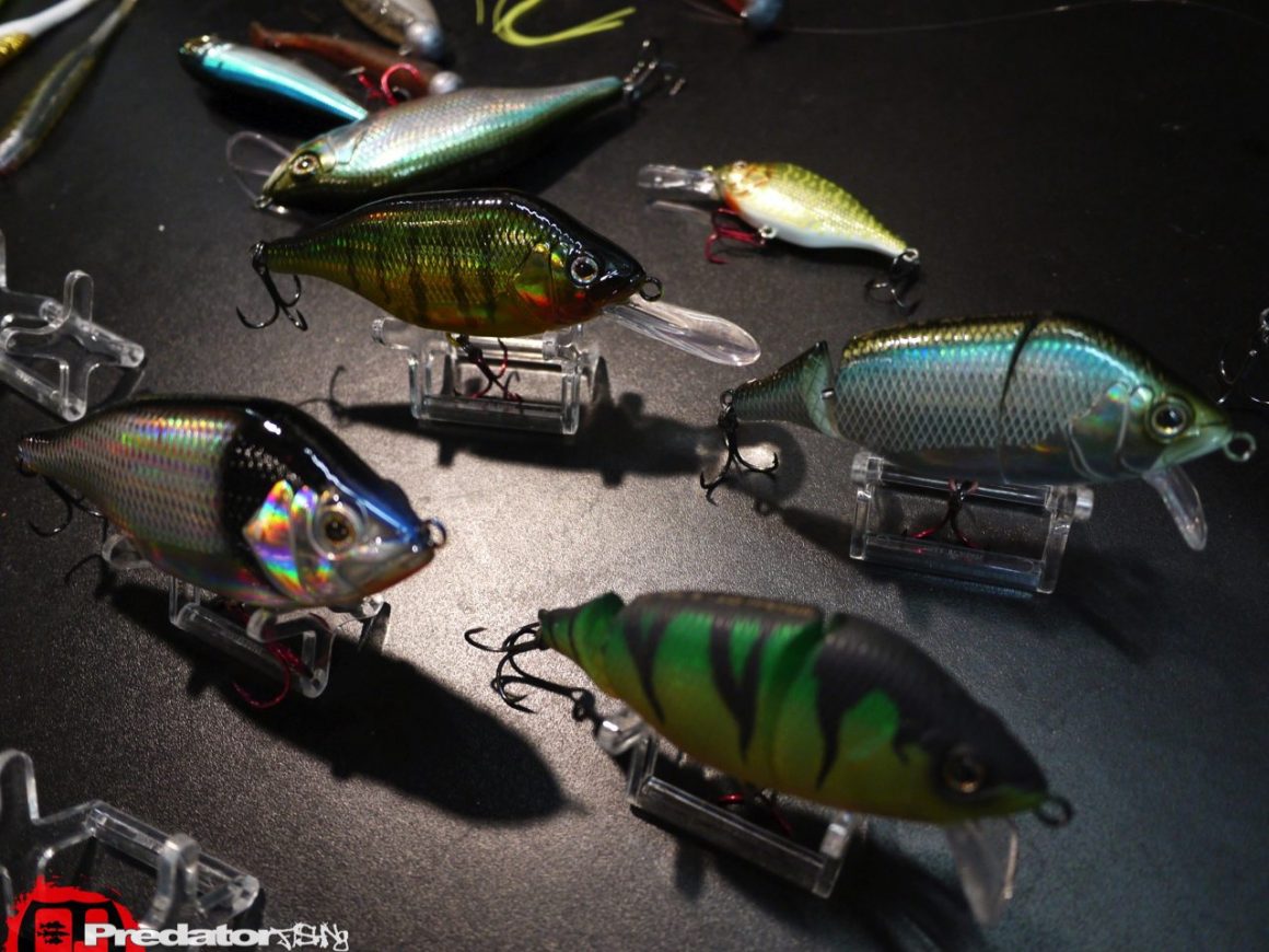 Dietmar Isaiasch mit FOX Rage in Österreich