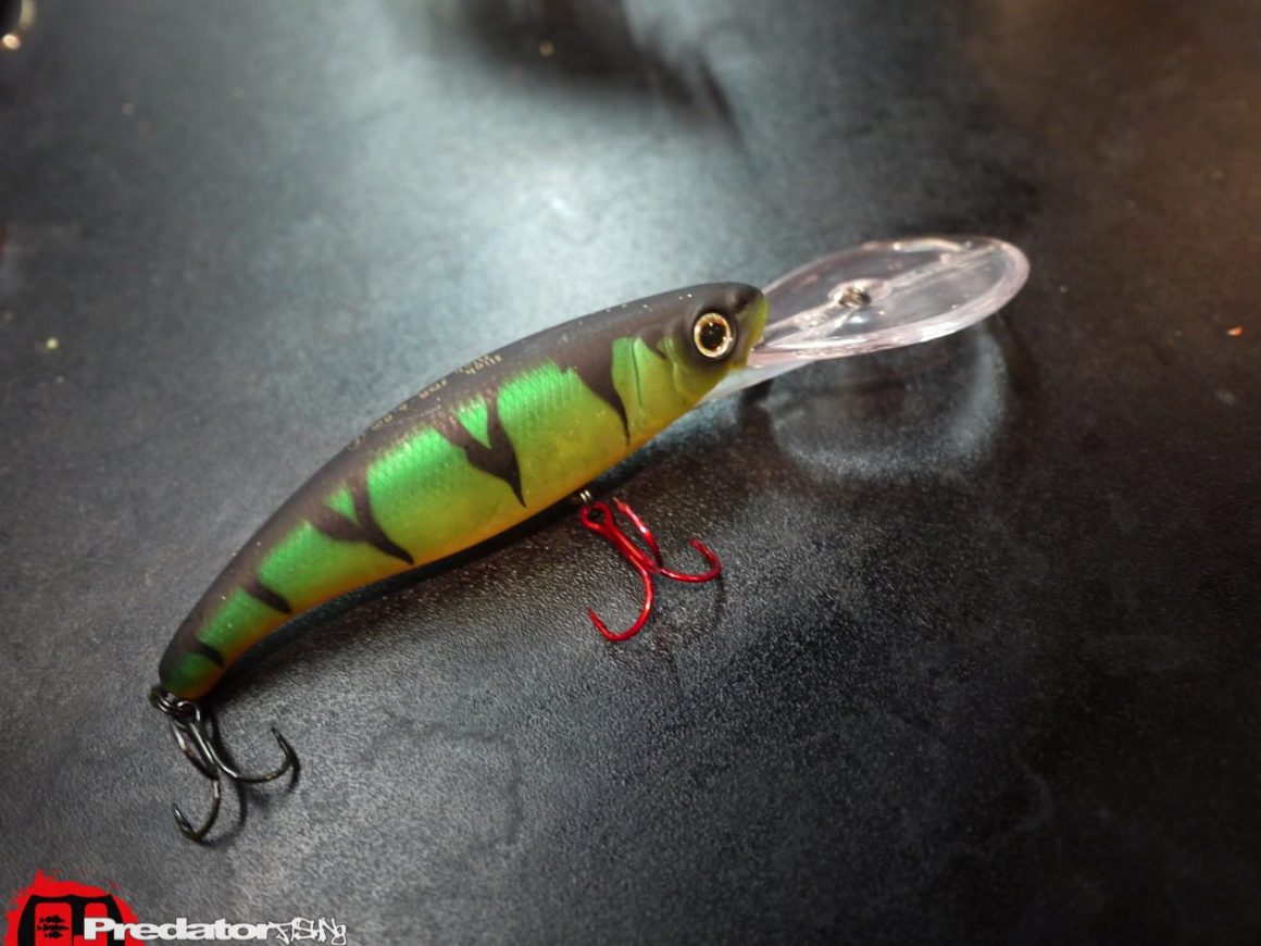 Dietmar Isaiasch mit FOX Rage in Österreich